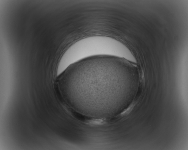 X0000083580086200703021828