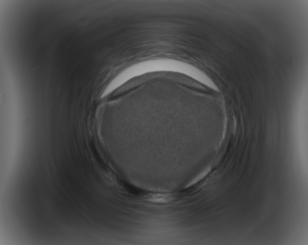 X0000083580088200703021828