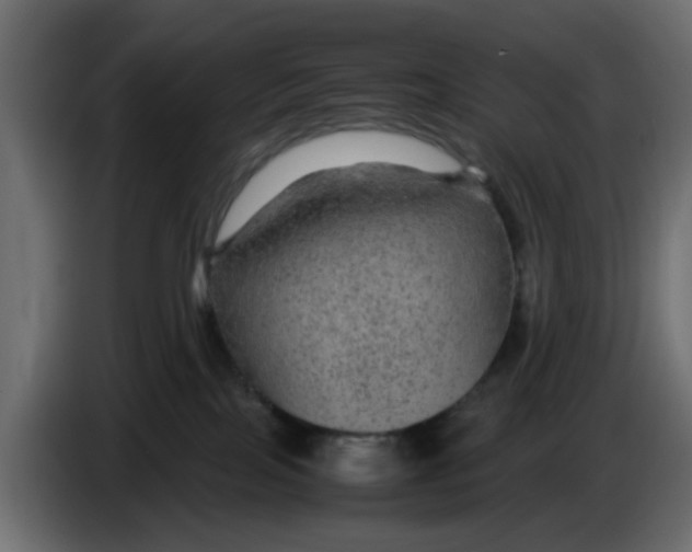 X0000083580089200703021828