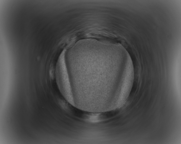 X0000083580090200703021828