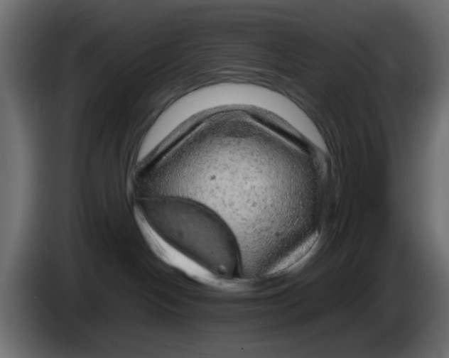 X0000083580094200703021828