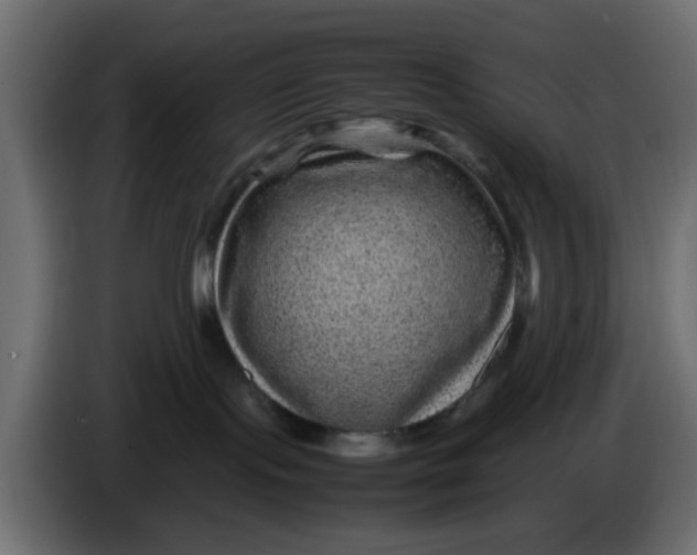 X0000083580095200703021828