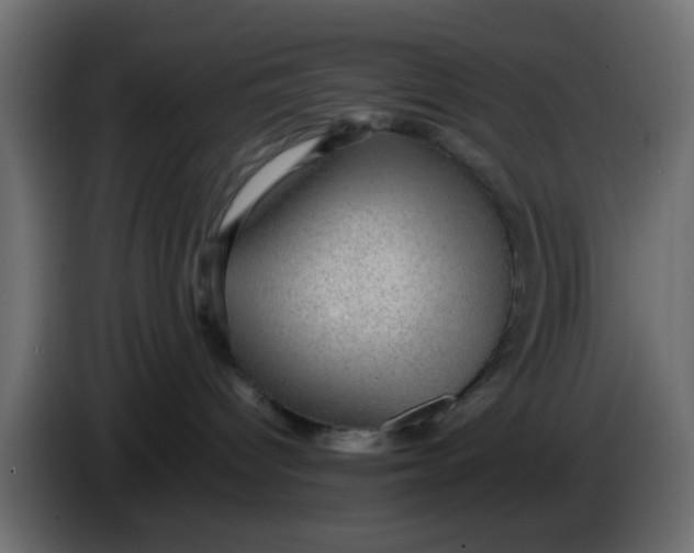 X0000083580096200703021828