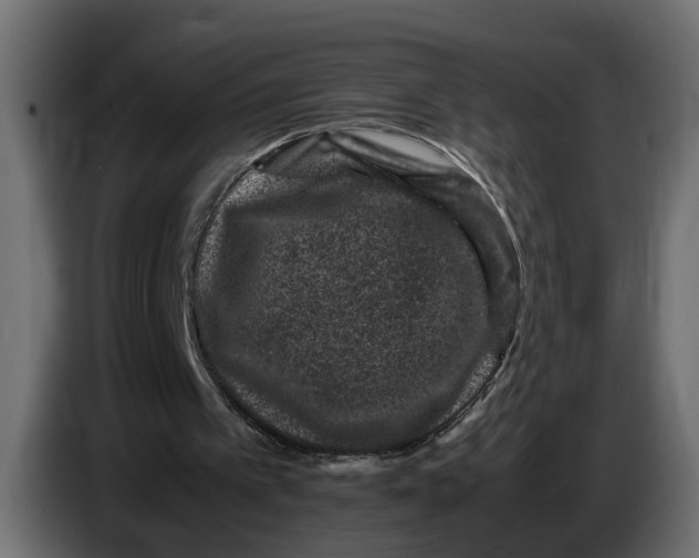 X0000083580097200703021827