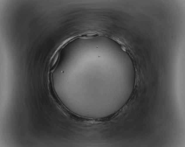 X0000083580098200703021827