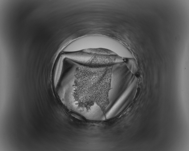 X0000083580099200703021827