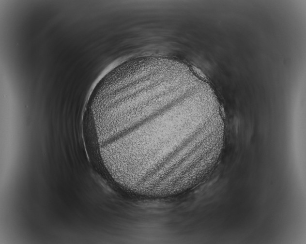 X0000083580100200703021827