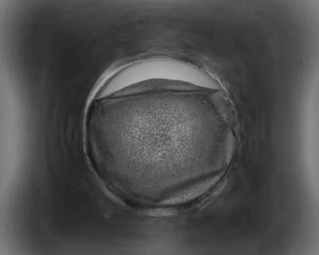 X0000083580102200703021827