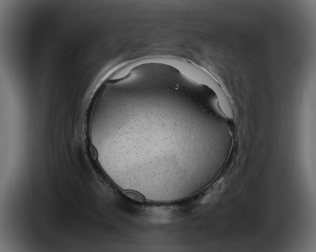 X0000083580103200703021827