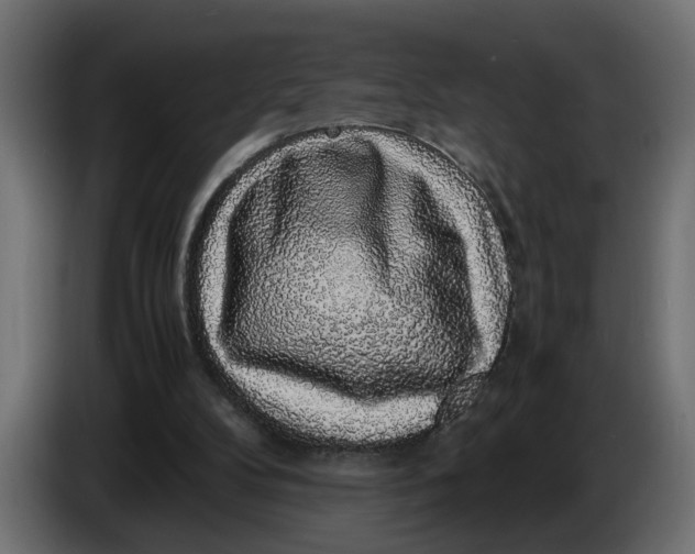 X0000083580104200703021827