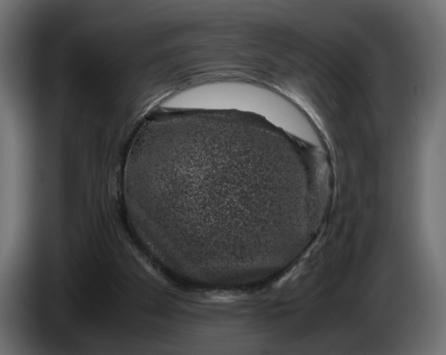 X0000083580105200703021827