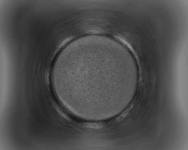 X0000083580106200703021827