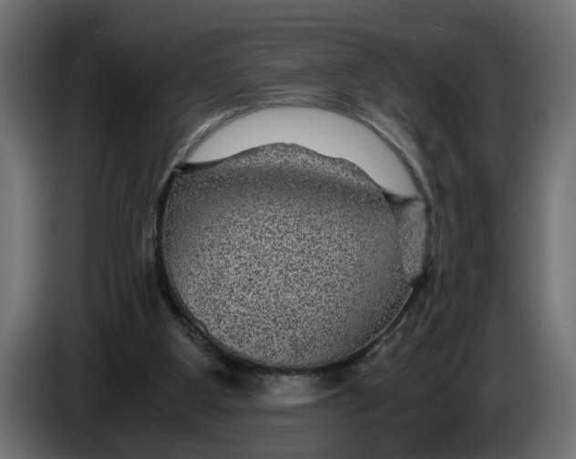 X0000083580107200703021827