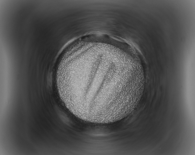 X0000083580108200703021827