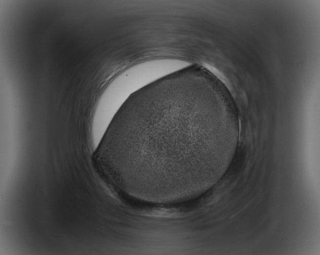 X0000083580109200703021827