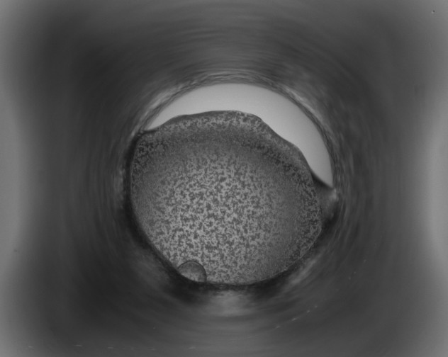 X0000083580111200703021827