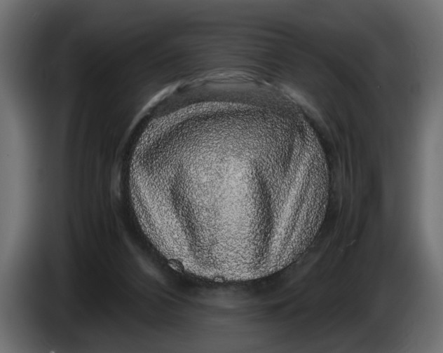 X0000083580112200703021827