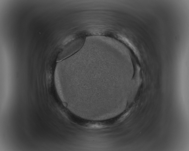 X0000083580113200703021827