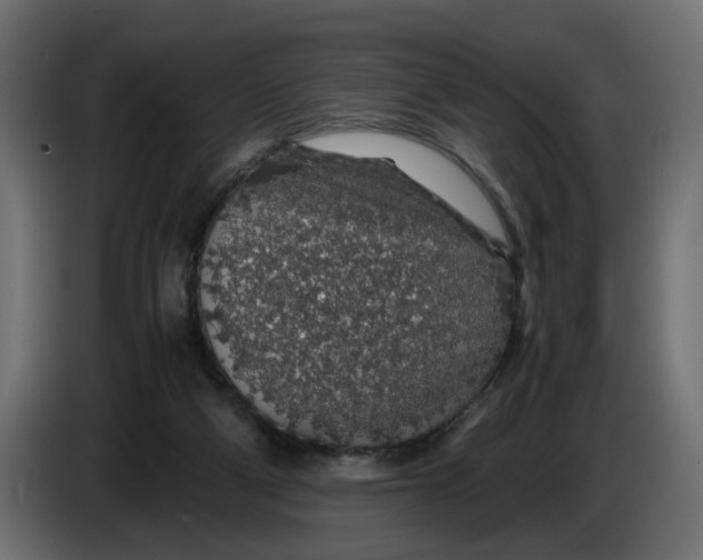 X0000083580114200703021827