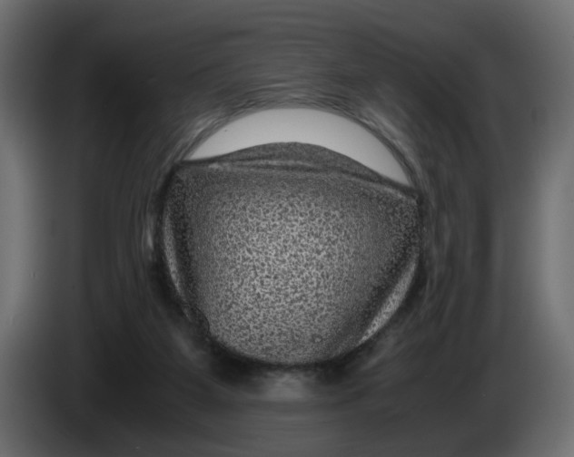 X0000083580115200703021827