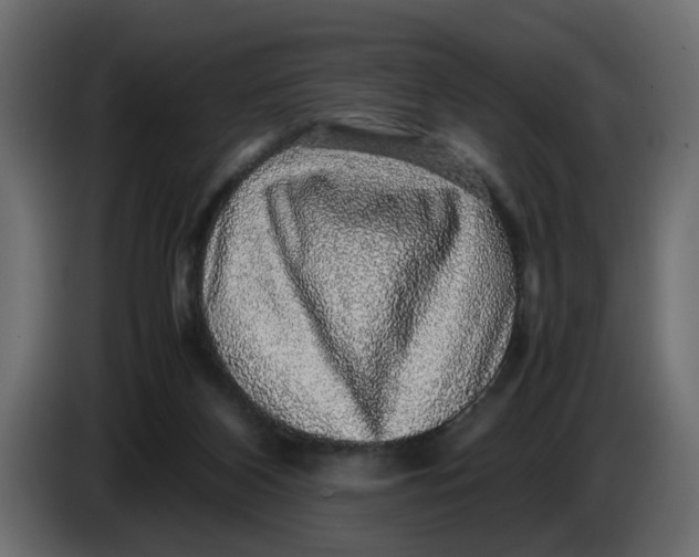 X0000083580116200703021827