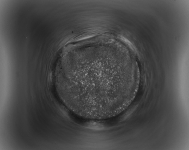 X0000083580117200703021827