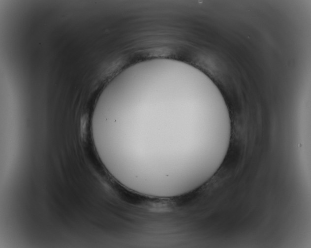 X0000083580118200703021827