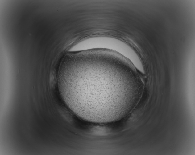 X0000083580119200703021827