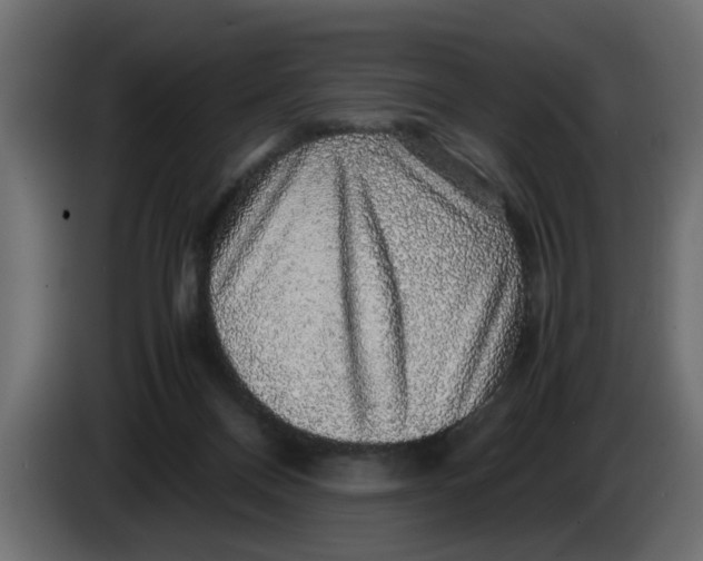 X0000083580120200703021827