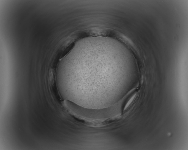 X0000083580121200703021827