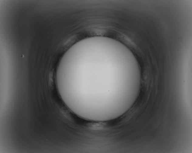 X0000083580122200703021827