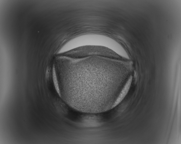 X0000083580123200703021827