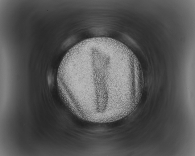 X0000083580124200703021827