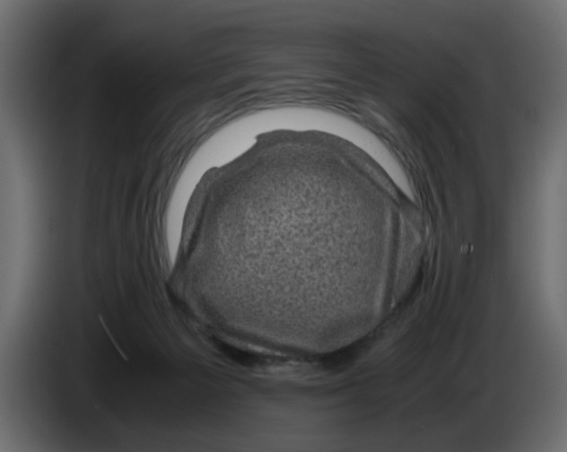 X0000083580125200703021827