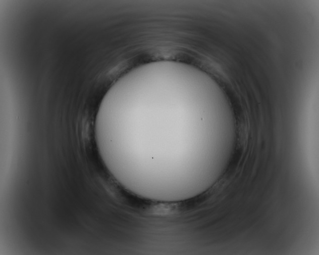 X0000083580126200703021827