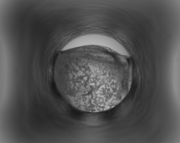 X0000083580127200703021827