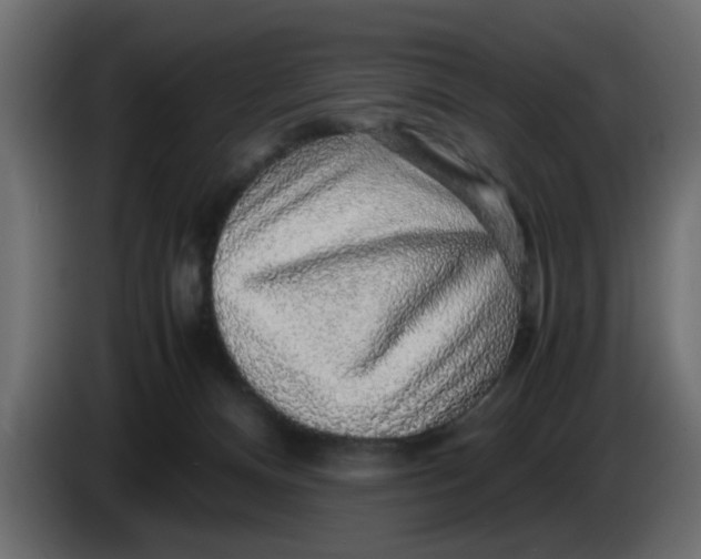 X0000083580128200703021827