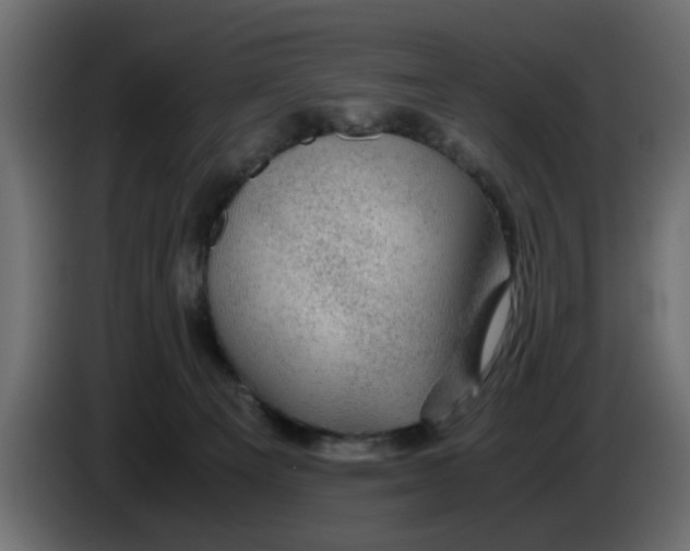 X0000083580129200703021827