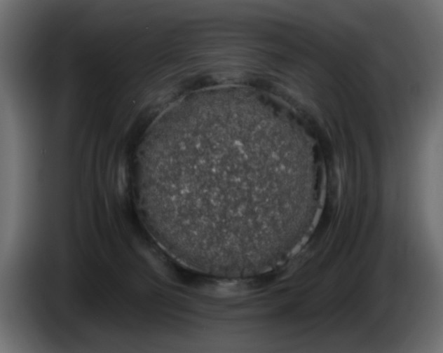 X0000083580130200703021827