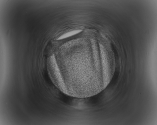 X0000083580131200703021827