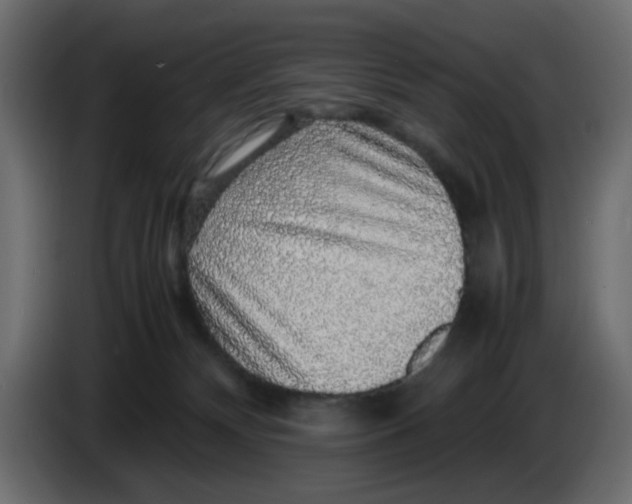 X0000083580132200703021827