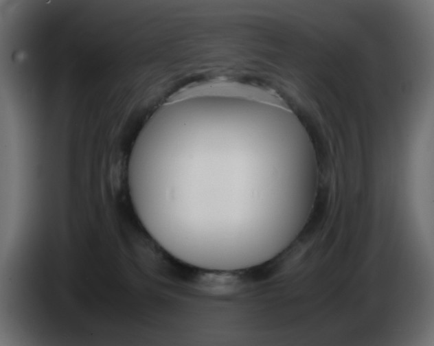 X0000083580133200703021827