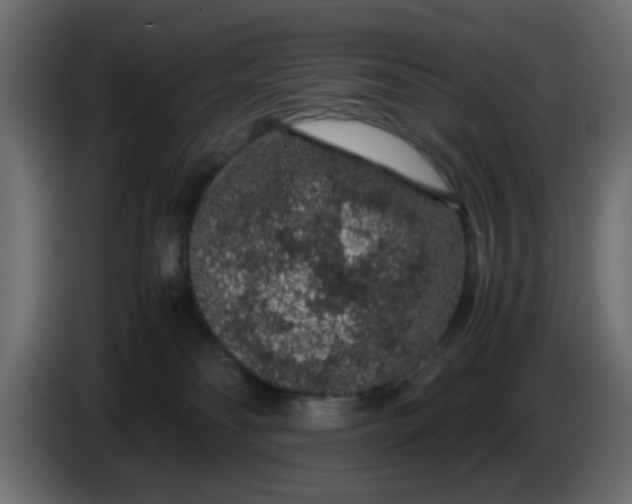 X0000083580134200703021827