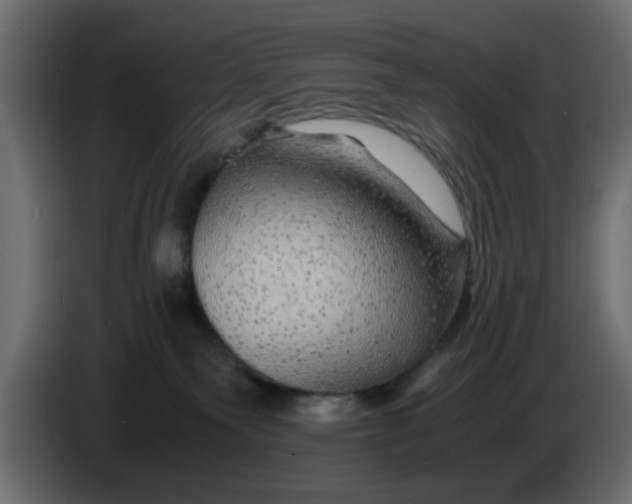 X0000083580135200703021826