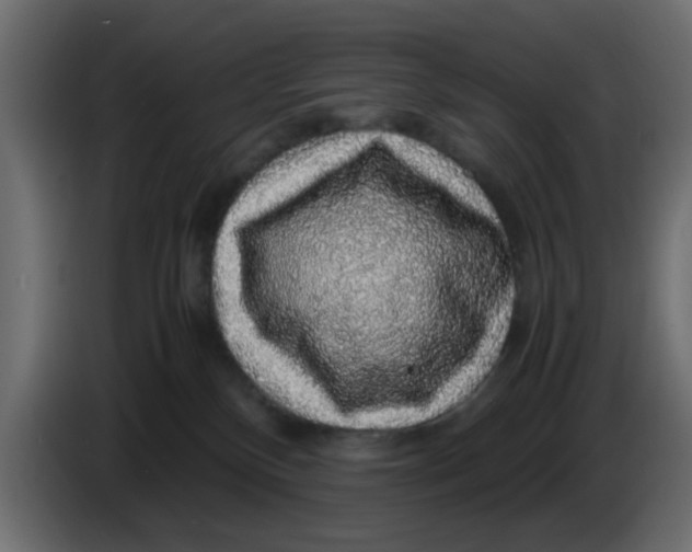 X0000083580136200703021826