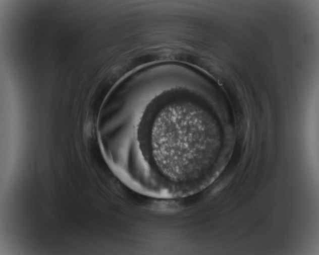 X0000083580137200703021826