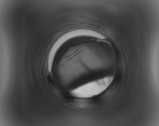 X0000083580139200703021826