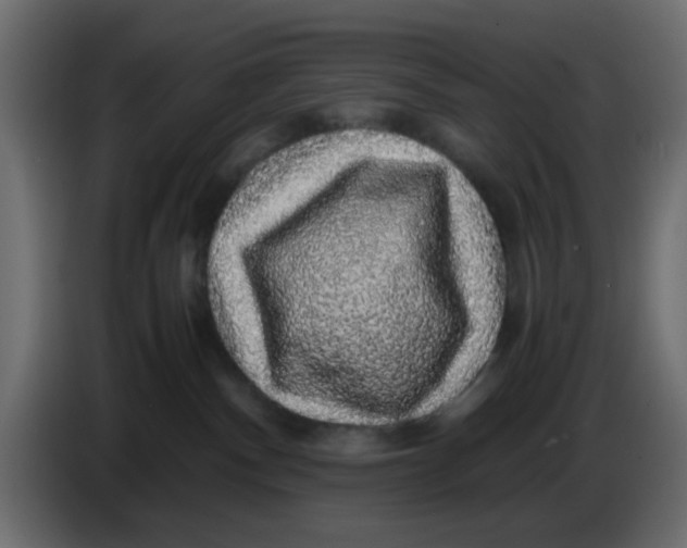 X0000083580140200703021826