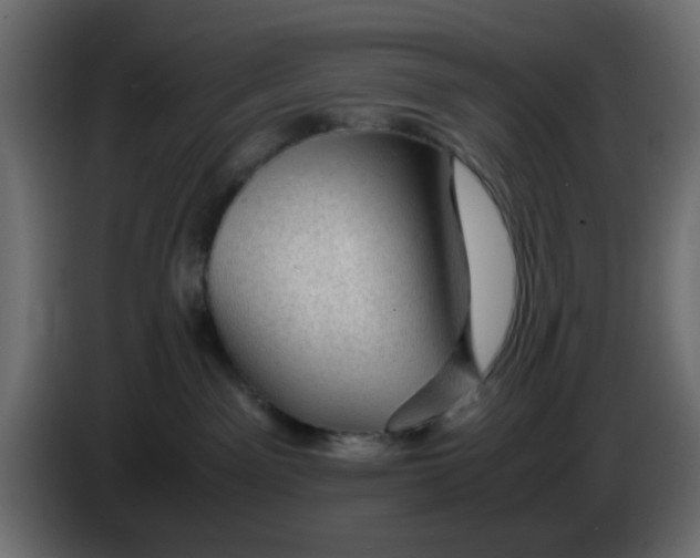 X0000083580141200703021826