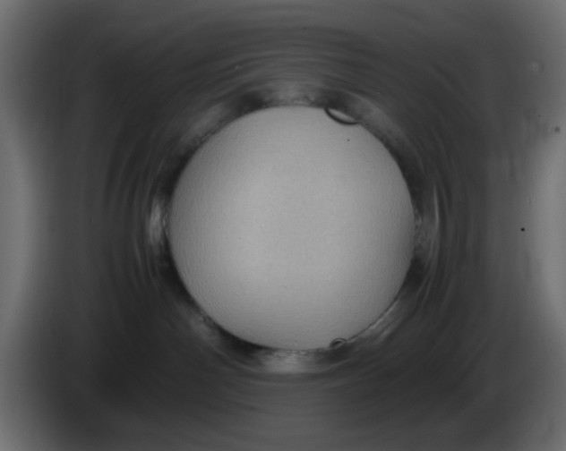 X0000083580142200703021826